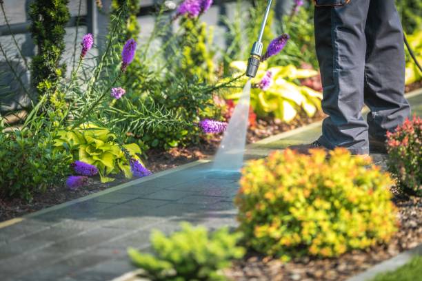 Best Winterizing Services  in West Bountiful, UT